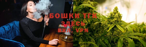 стафф Снежинск