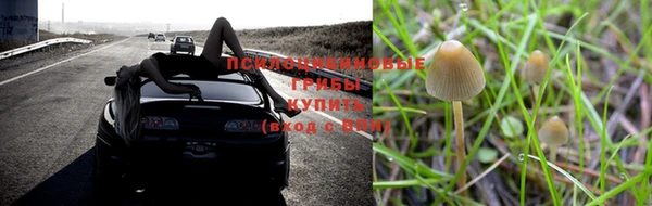 гашик Слюдянка