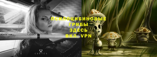гашик Слюдянка