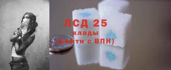 стафф Снежинск