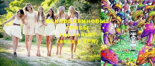 стафф Снежинск