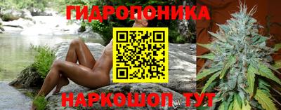 прущий лед Бийск