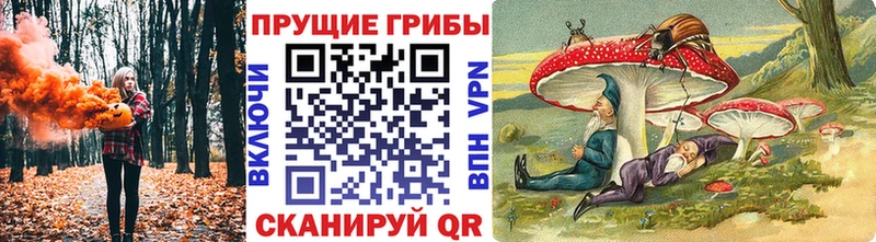 купить наркотик  Югорск  Псилоцибиновые грибы Cubensis 