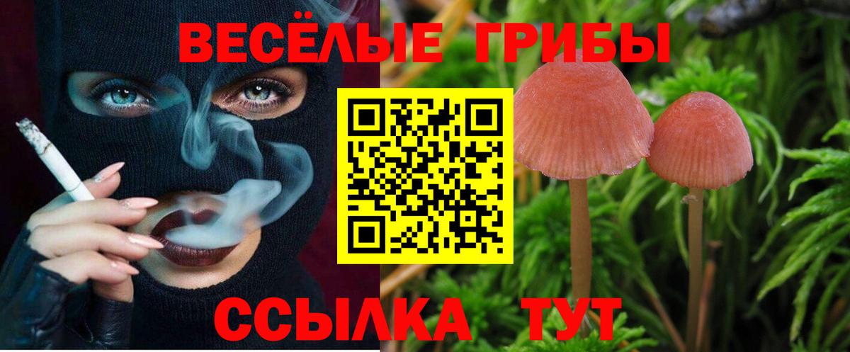 Югорск  Галлюциногенные грибы Magic Shrooms  Вход с VPN 
